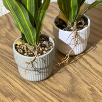 Snake Like Artificial Plant