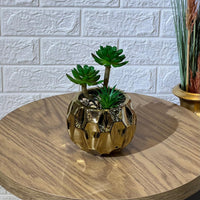 Golden Arrangement