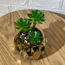 Golden Arrangement