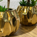 Golden Arrangement