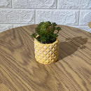 Pineapple Pot Artificial Plant