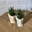 Face Pot Arrangement