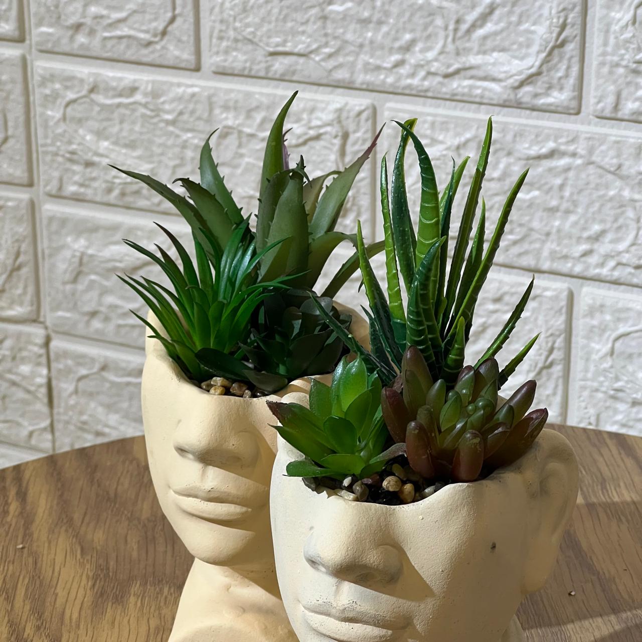 Face Pot Arrangement