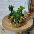 Golden Arrangement