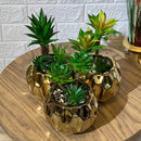 Golden Arrangement