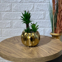 Golden Arrangement