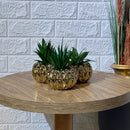 Chrome Golden Pot Arrangement