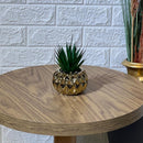 Chrome Golden Pot Arrangement