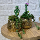 Chrome Arrangement Cactus