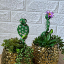 Chrome Arrangement Cactus