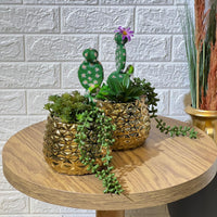 Chrome Arrangement Cactus