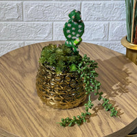 Chrome Arrangement Cactus