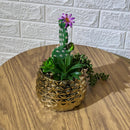 Chrome Arrangement Cactus