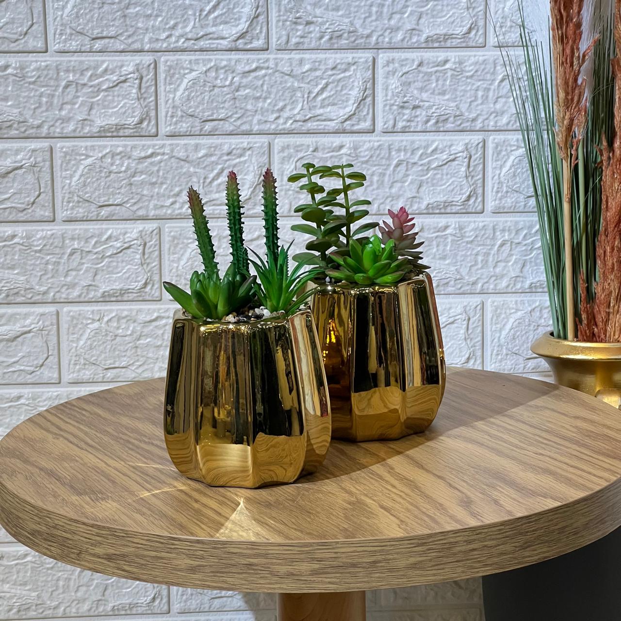 Succulent Arrangment
