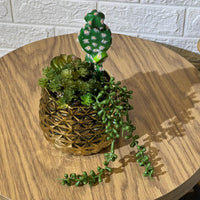 Chrome Arrangement Cactus