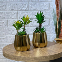 Matte Golden Pot Arrangement