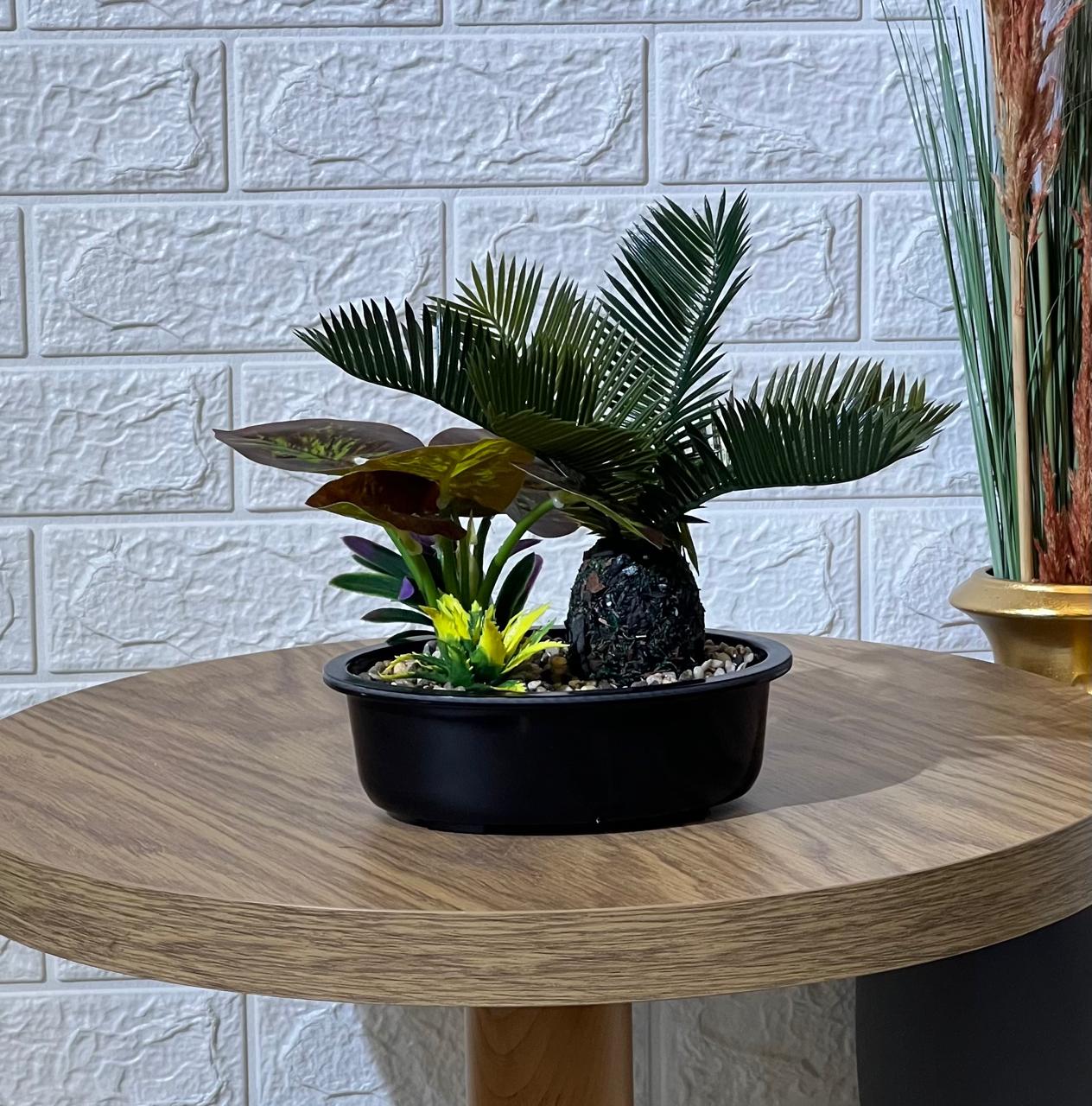 Mini Palm Arrangement