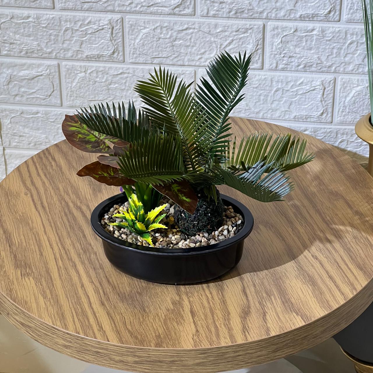 Mini Palm Arrangement