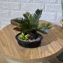 Mini Palm Arrangement
