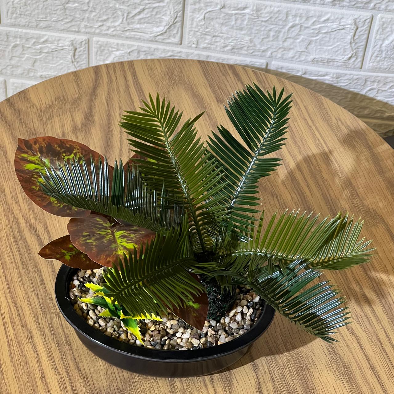 Mini Palm Arrangement