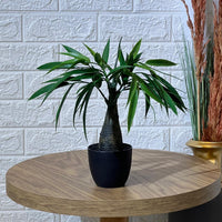 Exotic Palm Artifical