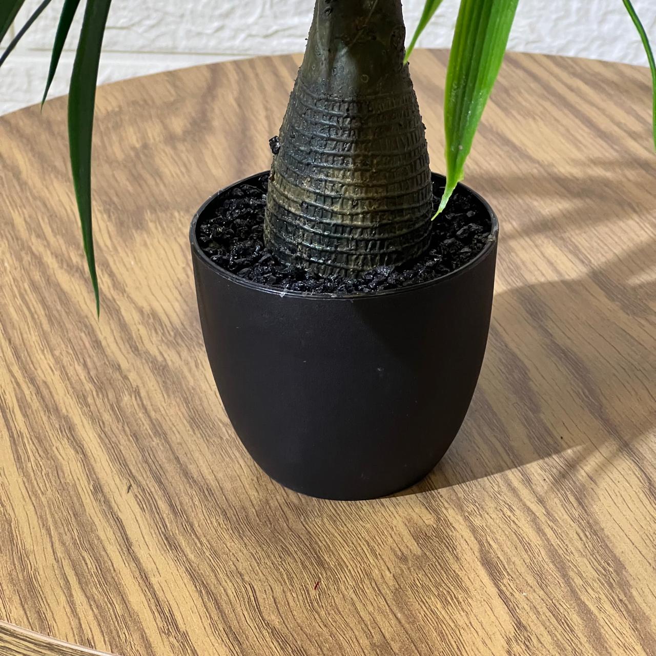 Exotic Palm Artifical