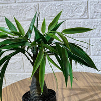 Exotic Palm Artifical