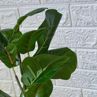 Cute Fiddle Leaf Artificial