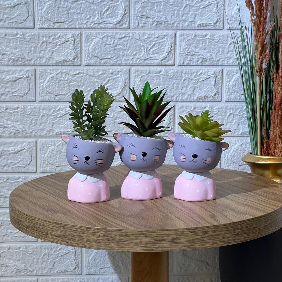 Cute Kitten Pot