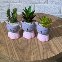 Cute Kitten Pot