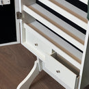 Vanity Rectangle Standing Closet Mirror