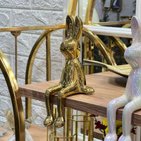 Cute Sitting Bunny