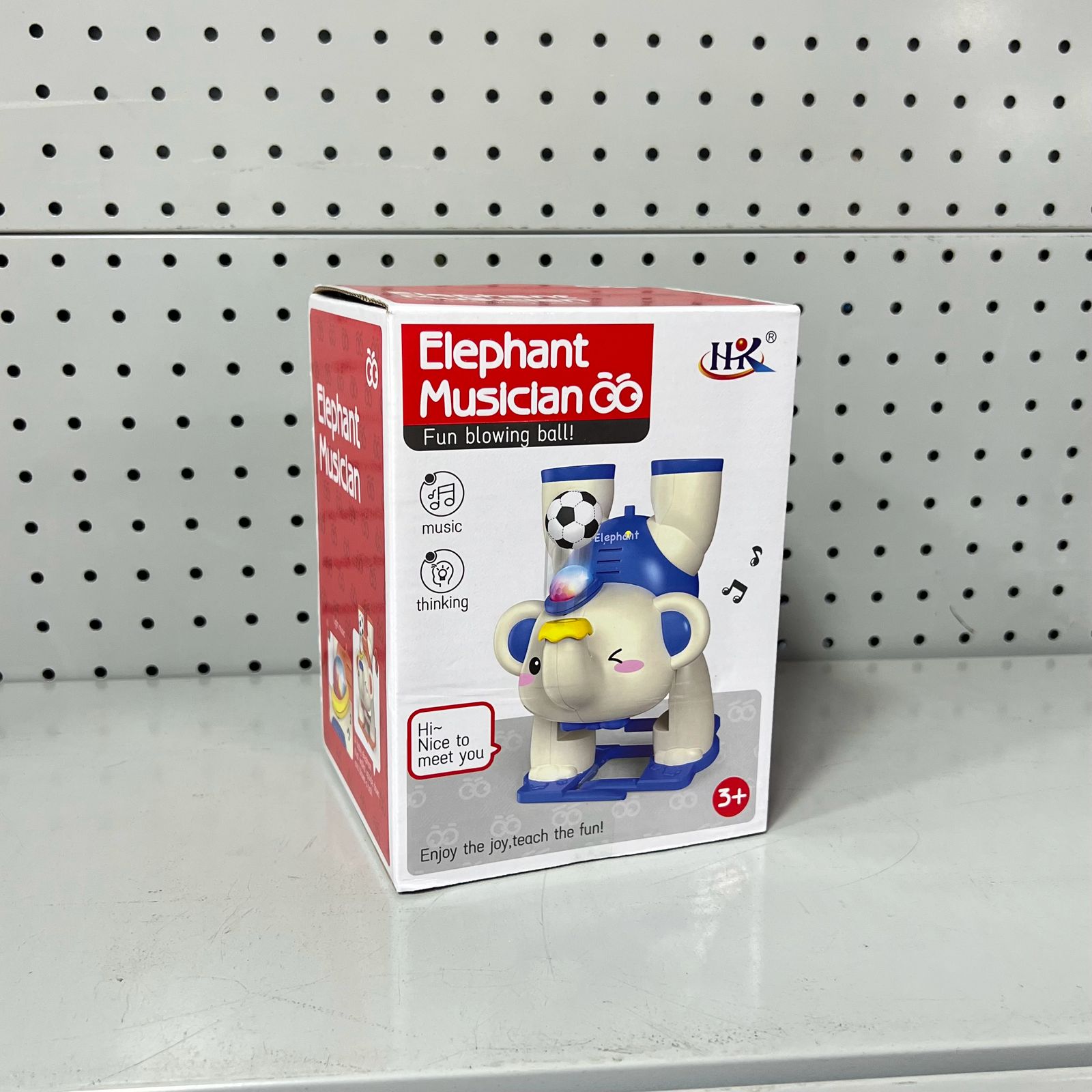 Elephant Musician