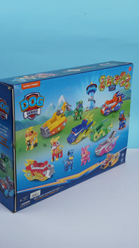 Paw Patrol Team