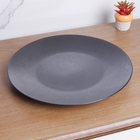 Black flat plate