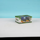 Model Car