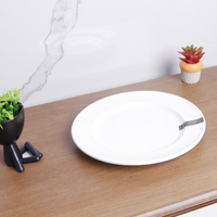 white plate 9''