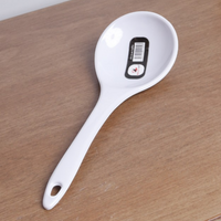 Melamine Serving Spoon