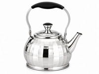 Stainless Steel Tea Kettle